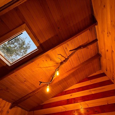 Patagonia Nativa Bed & Breakfast Cochamo Exterior foto